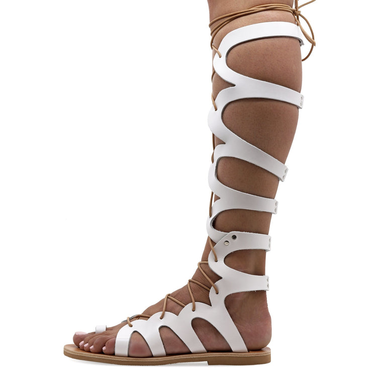 Leather Knee High Gladiator Sandals | Boohoo UK